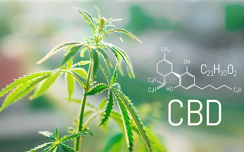 CBD Öl Ratgeber: Worauf du beim Kauf achten solltest