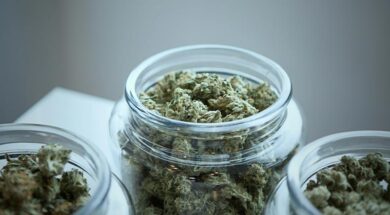 Medizinisches-Cannabis-Ablauf-Kosten-Rezept