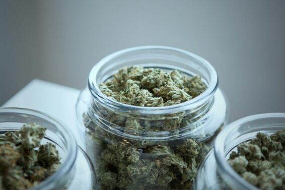 Medizinisches-Cannabis-Ablauf-Kosten-Rezept