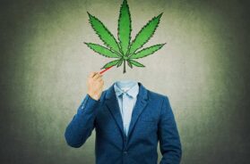 Marketing-Cannabisbranche