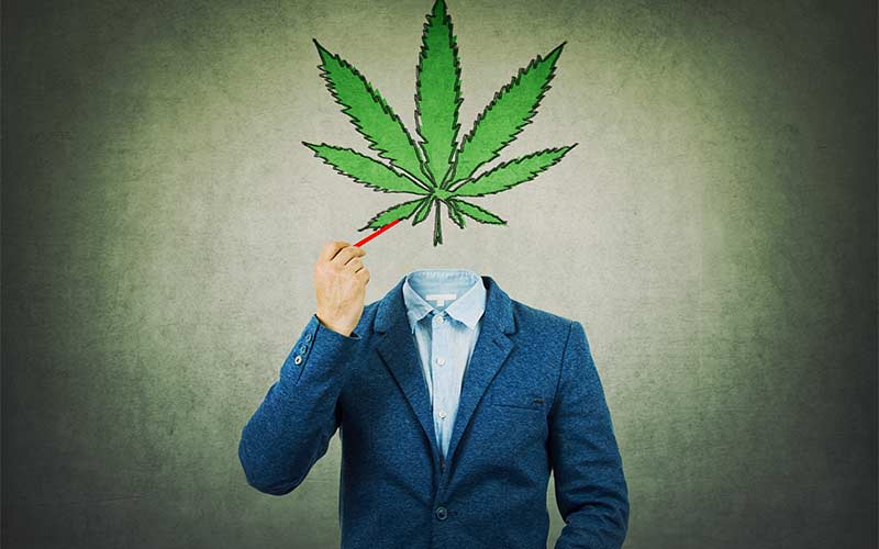 Marketing in der Cannabisbranche: Warum Standardstrategien oft ins Leere laufen 