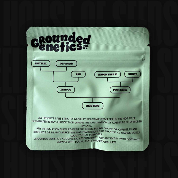 Lime Zerb - Grounded Genetics