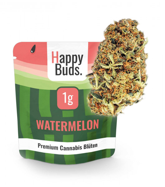 Watermelon - HappyBuds
