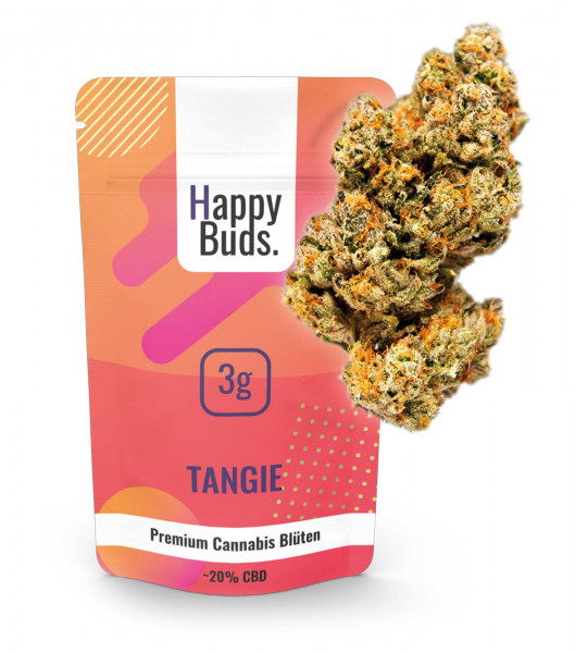 Tangie - HappyBuds