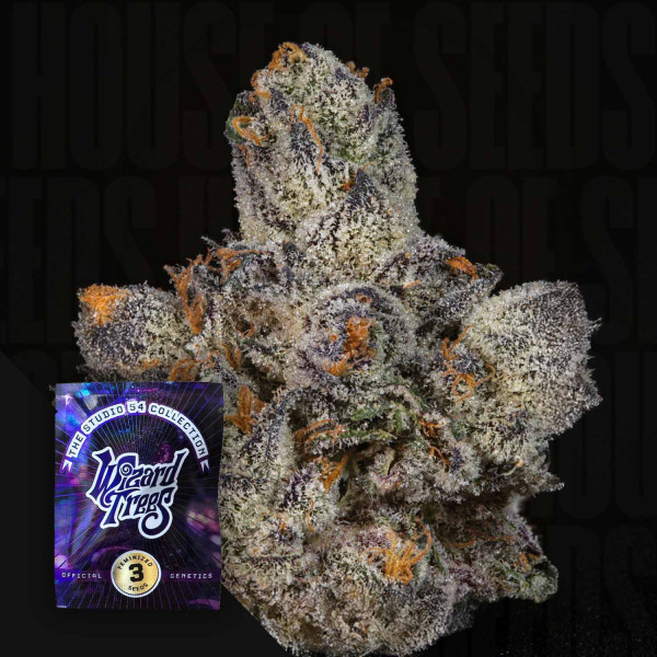 Lemon fever - Wizard Trees