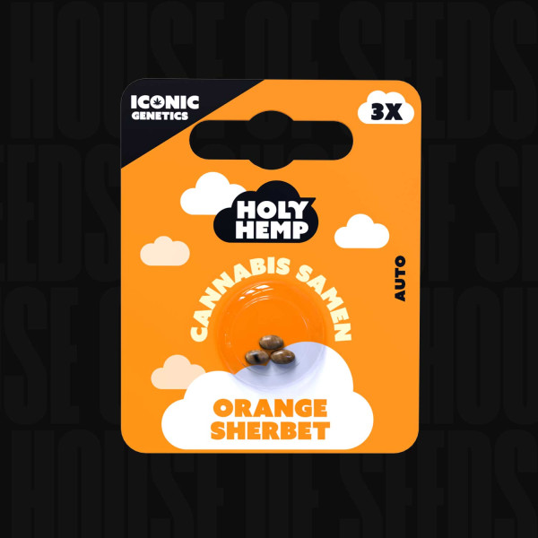 Orange Sherbet - Holy Hemp