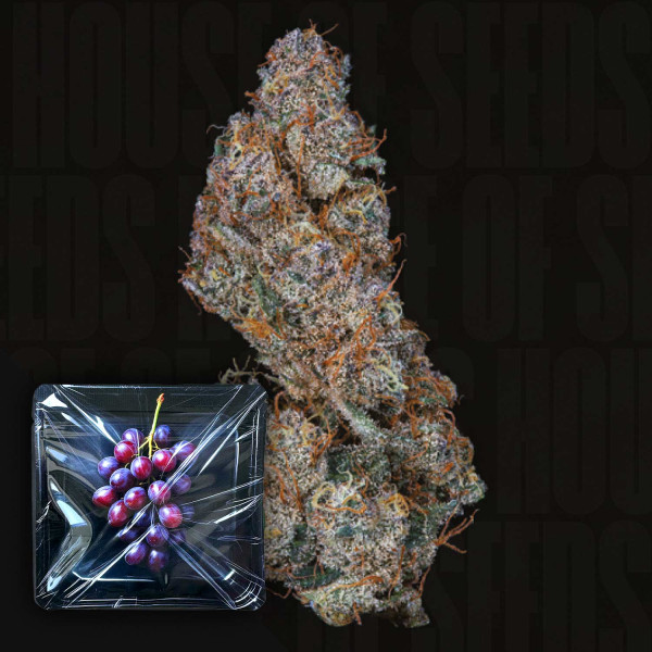 Ice pop - Nine Weeks Harvest