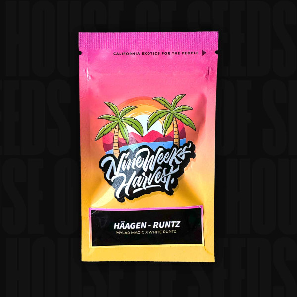 Häagen Runtz - Nine Weeks Harvest