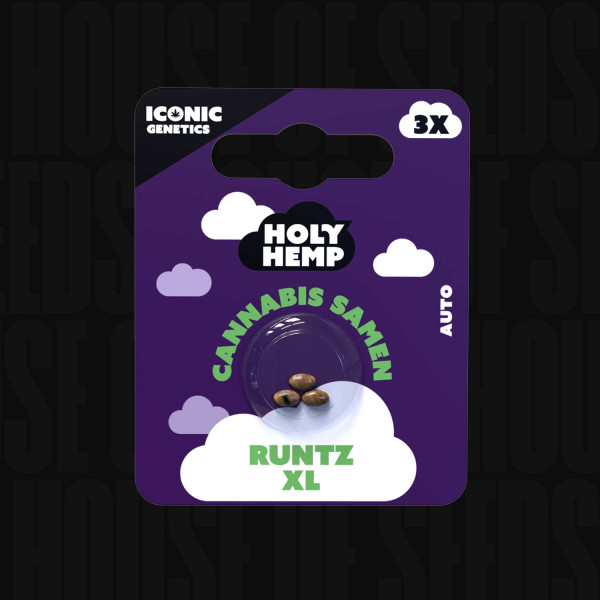 Runtz XL - Holy Hemp