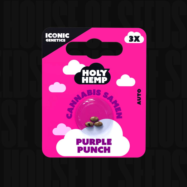 Purple Punch - Holy Hemp