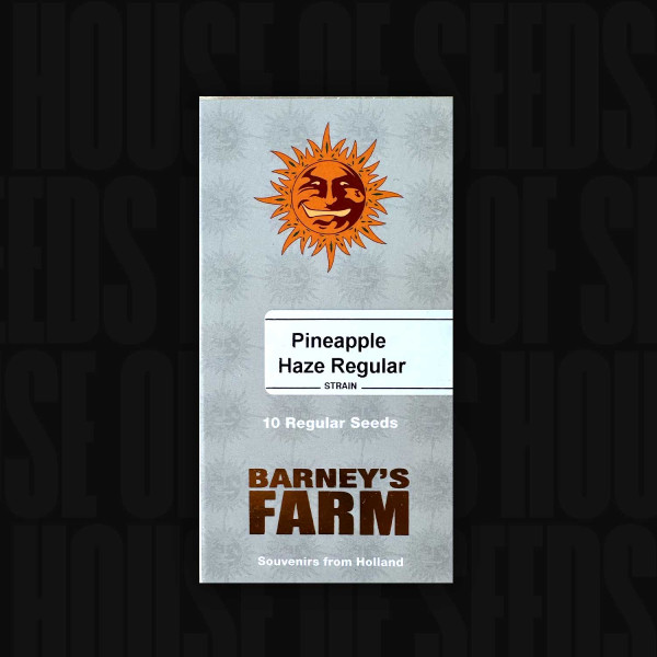 Pineapple Haze - Barney's Farm