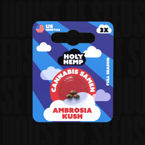Ambrosia Kush - Holy Hemp