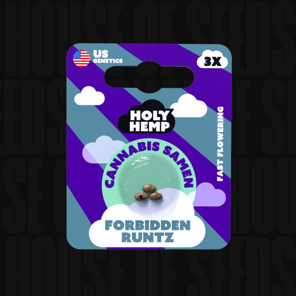 Forbidden Runtz - Holy Hemp