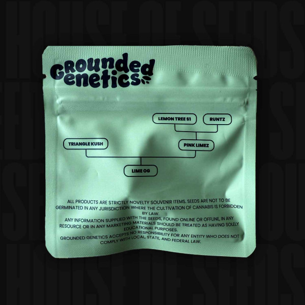 Lime OG - Grounded Genetics