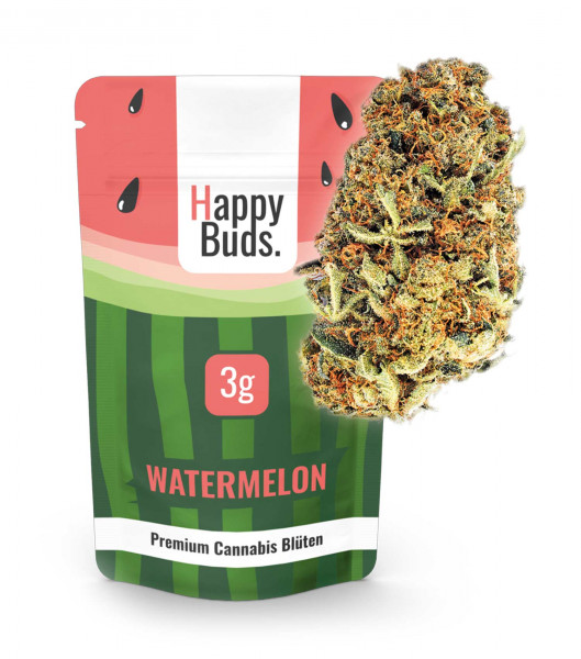 Watermelon - HappyBuds