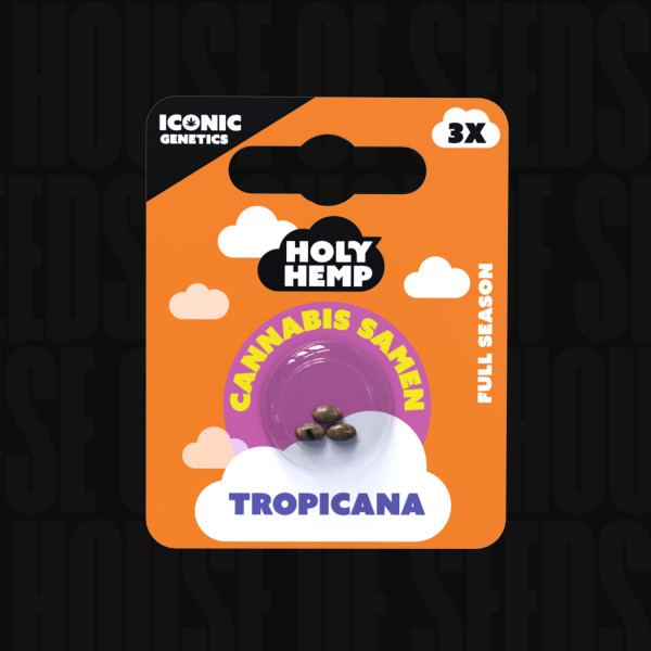 Tropicana - Holy Hemp