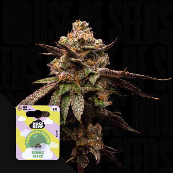 Sonic Slice Auto - Holy Hemp